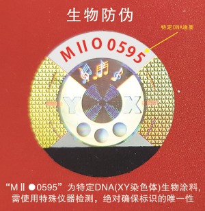 DNA午夜视频在线免费